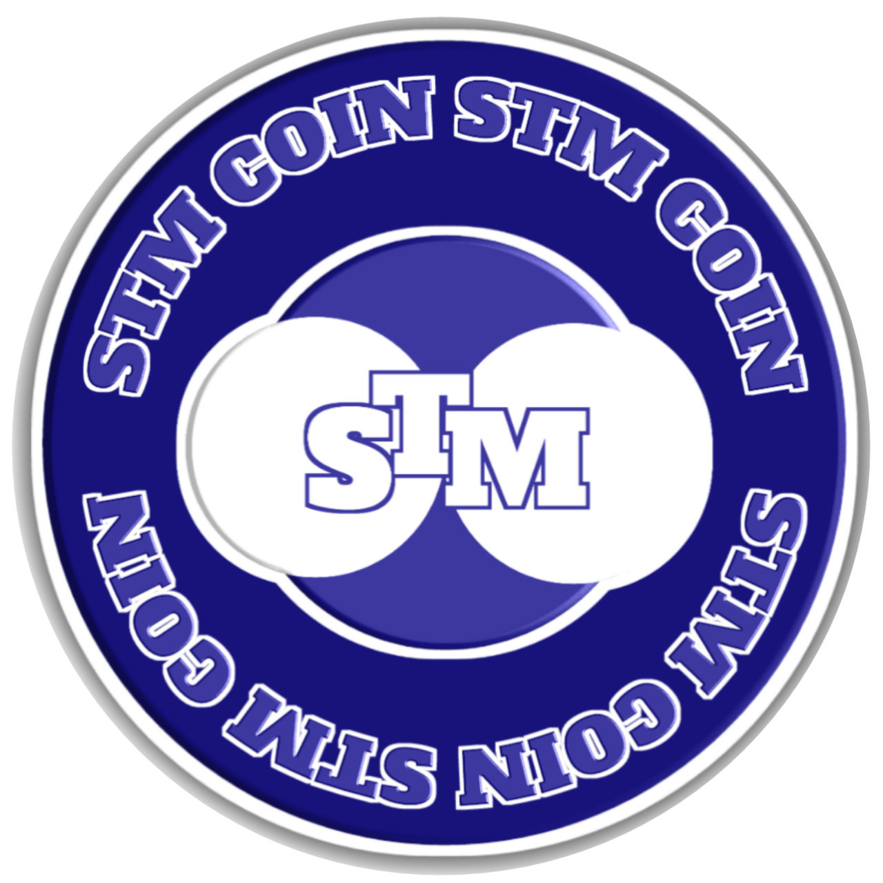 STM Logo